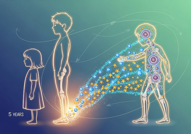 Thực phẩm bổ sung magie và lợi ích đối với chiều cao