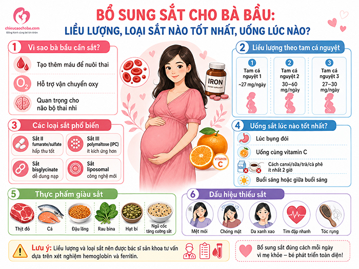 Bổ sung sắt cho mẹ bầu